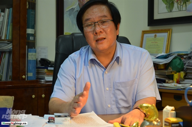 Kiến trúc sư Đỗ Thanh Tùng - Viện trưởng Viện Kiến trúc Quốc gia
