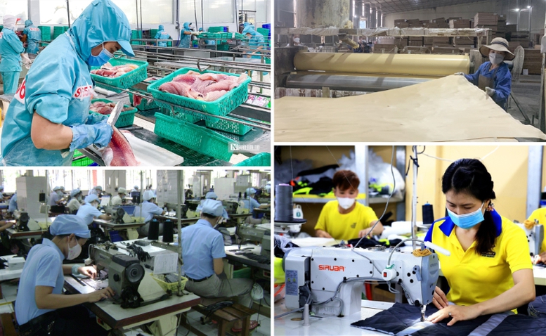 Doanh nghiệp tư nhân phải lớn mạnh, phát triển để đáp ứng vai trò mới mà xã hội kỳ vọng